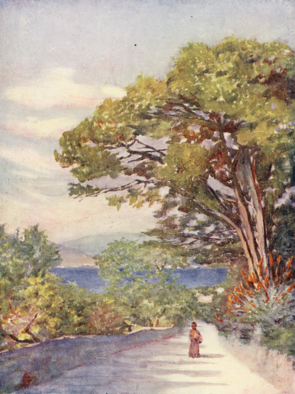Cebelitarık