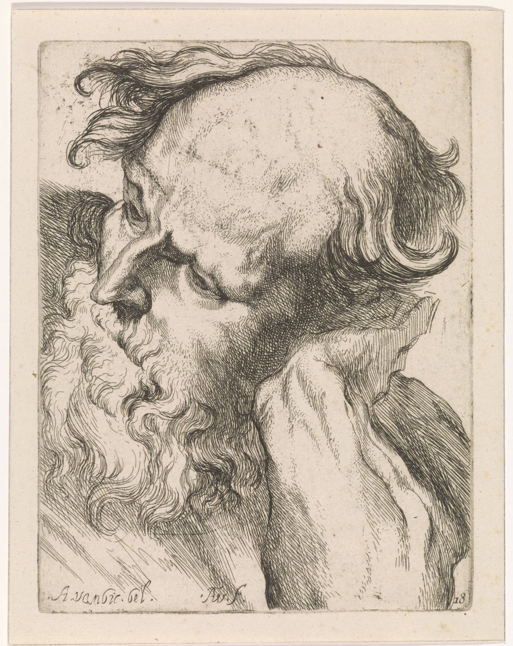 Yaşlı bir adamın başı (Joseph) Anthony van Dyck