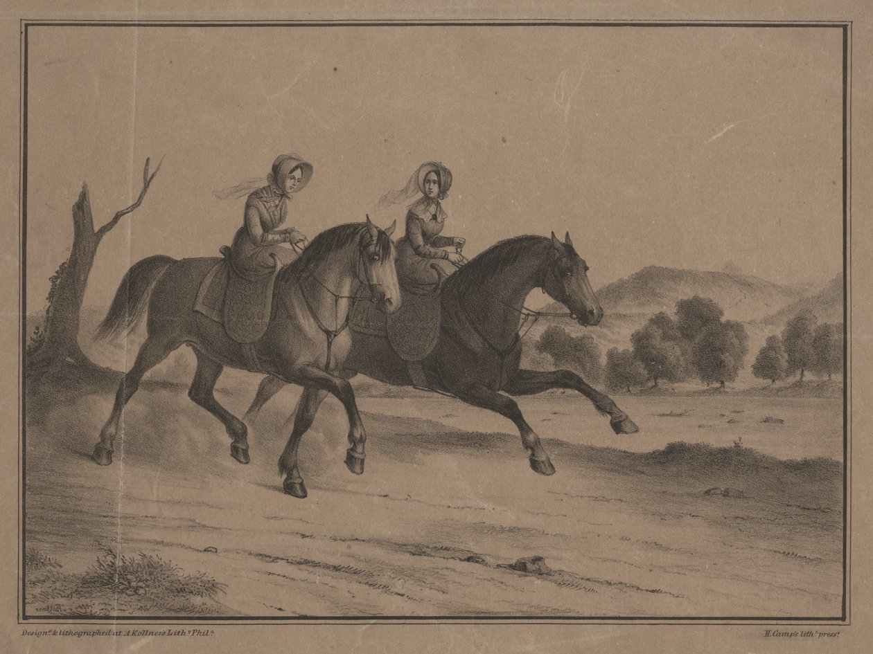 Ülkede Pazar, 1850 by Augustus Kollner