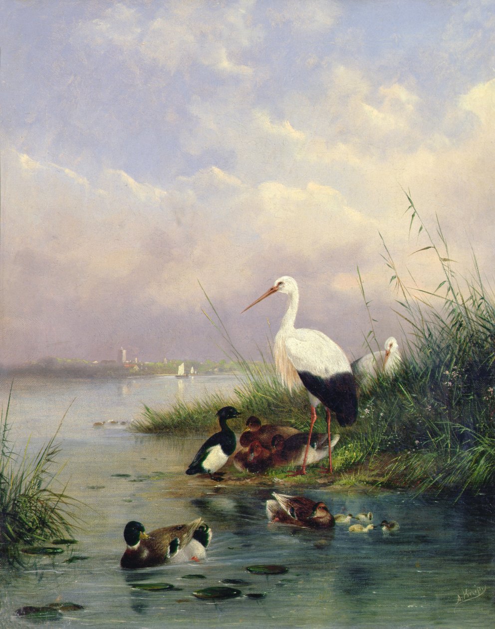Bir Yeşilbaş ailesi, iki Leylek ve bir Tufted Ördek ailesi (77886) by Augustus Knip