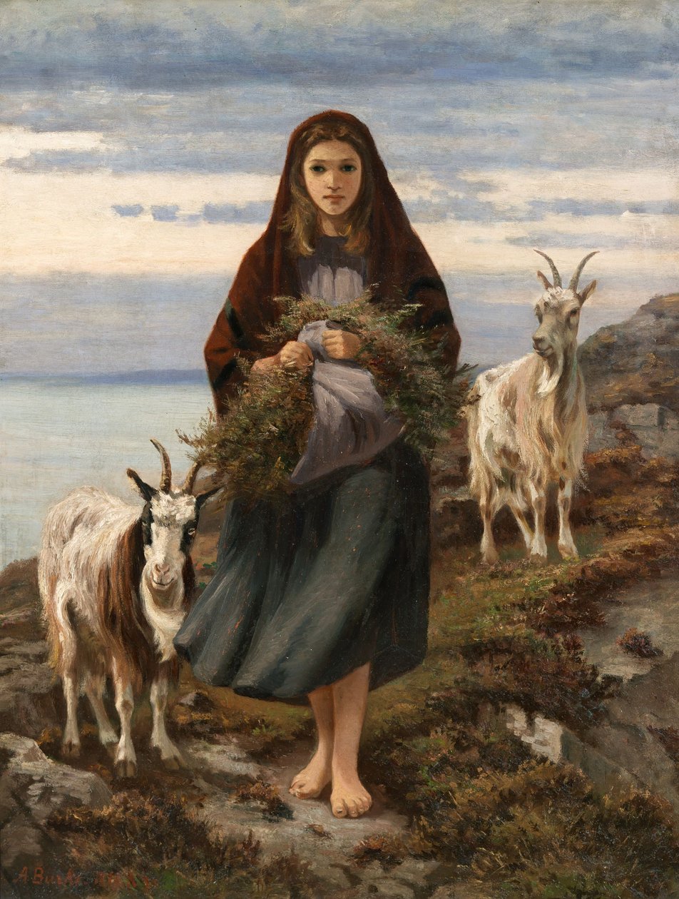 connemara kız by Augustus Nicholas Burke