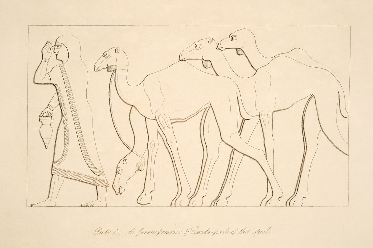 Bir kadın mahkûm ve deve, Nineveh Anıtlarından bir çizim, 1849 by Austen Henry Layard