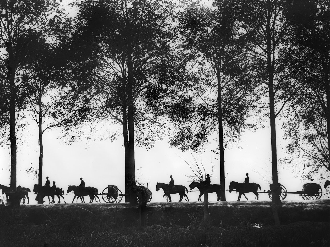 25 Eylül 1917, Ypres Yolu boyunca ilerleyen mühimmat yüklü Avustralya topçu uzuvlarının siluet halinde bir görünümü by Australian Photographer