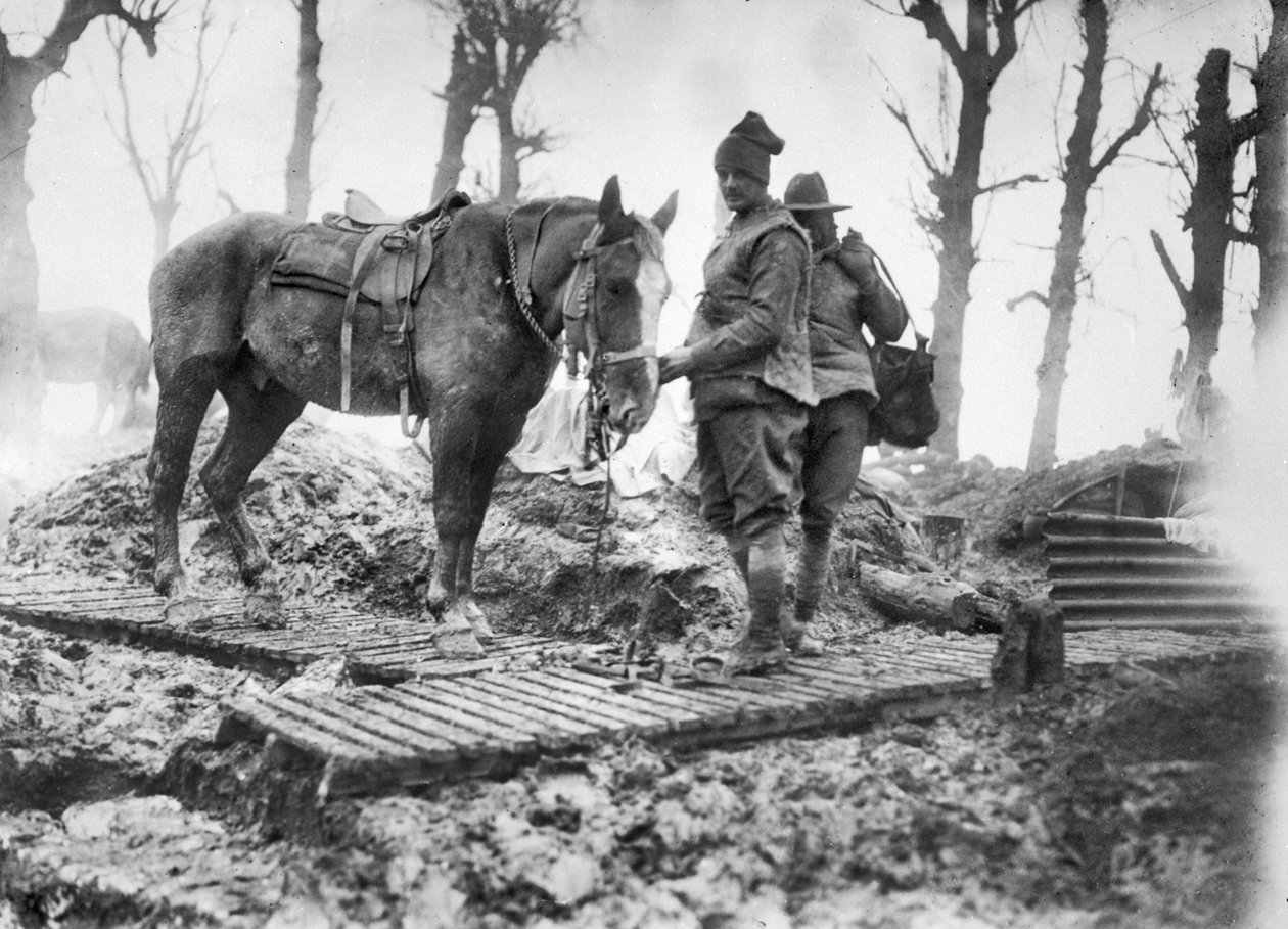 Mametz ve Montauban arasındaki bir ördek tahtası pistinde silahlara mühimmat taşımak için kullanılan bir topçu atı ve kimliği belirsiz Avustralyalı sürücüsü, Aralık 1916 by Australian Photographer