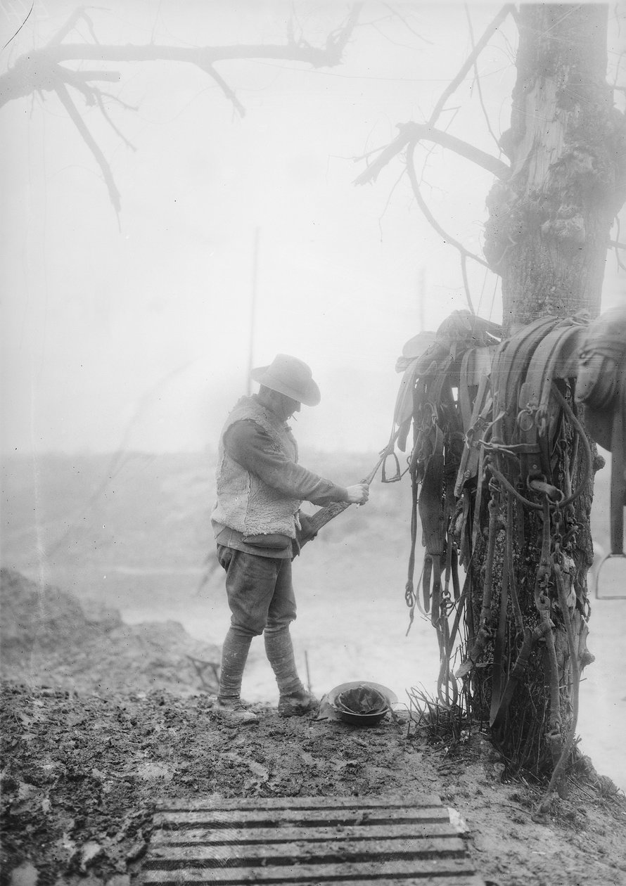 Mametz yakınlarındaki bir kütükte takımlarından çamuru temizleyen kimliği belirsiz bir Avustralyalı topçu sürücüsü, Aralık 1916 by Australian Photographer
