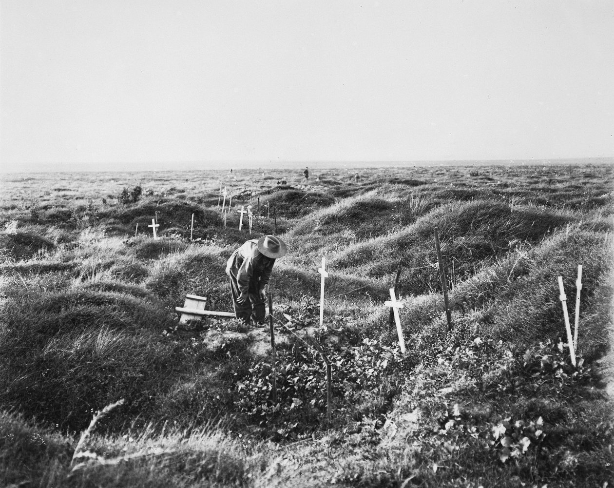 Pozieres savaş alanında OG1 hattı boyunca dağınık Avustralya mezarlarının görünümü, 16 Eylül 1917 by Australian Photographer