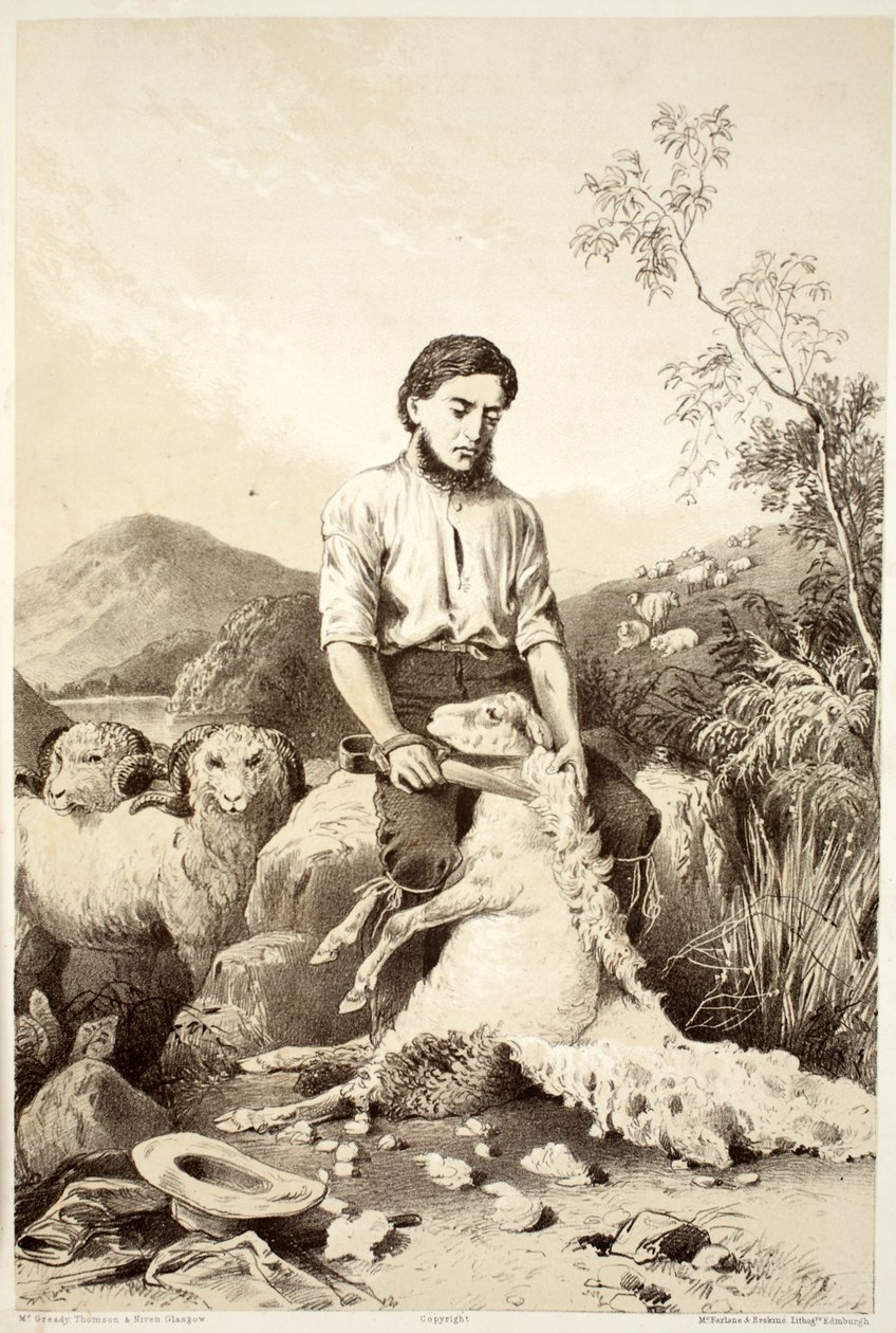 Koyun kırpma, David Blair, McGrady, Thomson ve Niven, 1879 tarafından yazılan Avustralasya Tarihinden by Australian School
