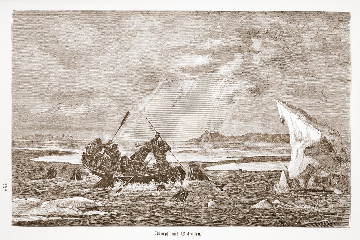 Mors ile Dövüş, 1876 by Austrian School