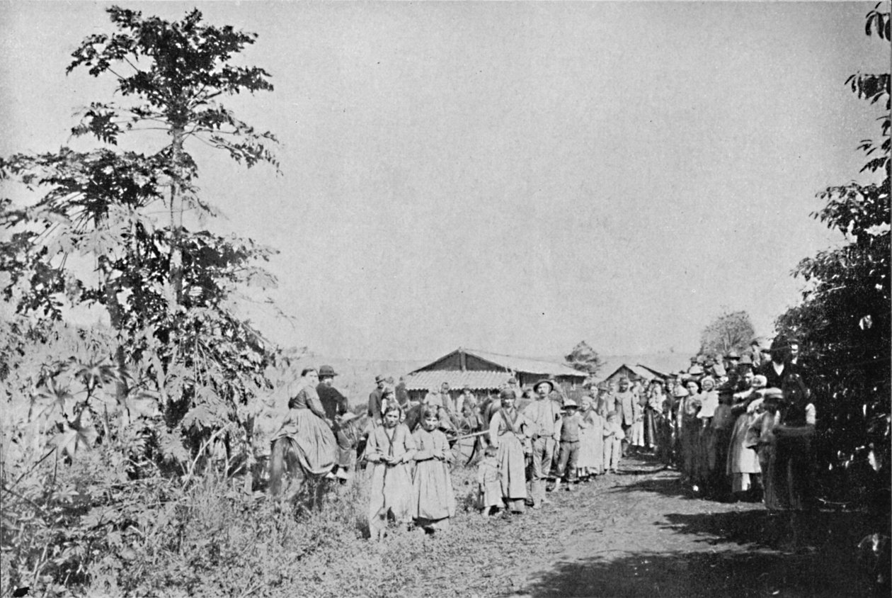 Kolonideki Parti, Kolonideki Parti, 1895 by Axel Frick