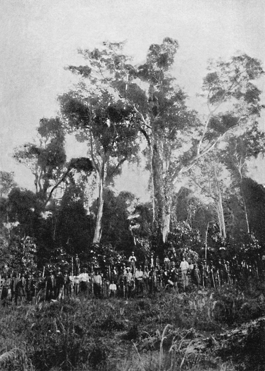 Bakire Matta, 1895 by Axel Frick