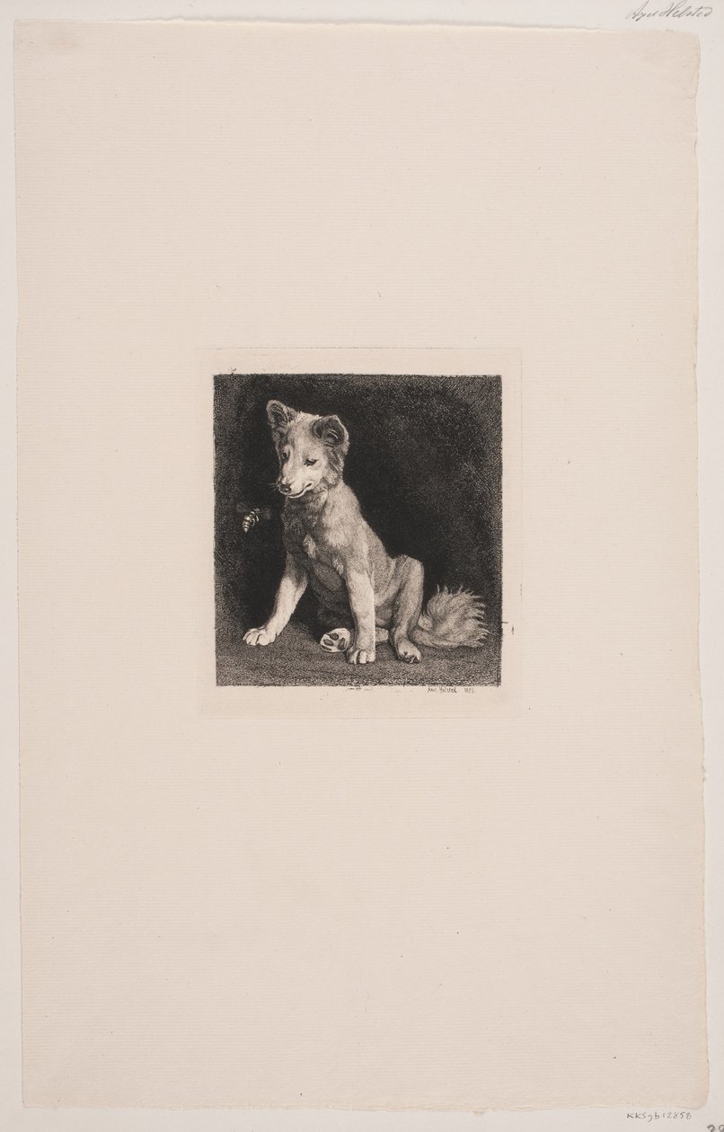 köpek ve arı by Axel Helsted
