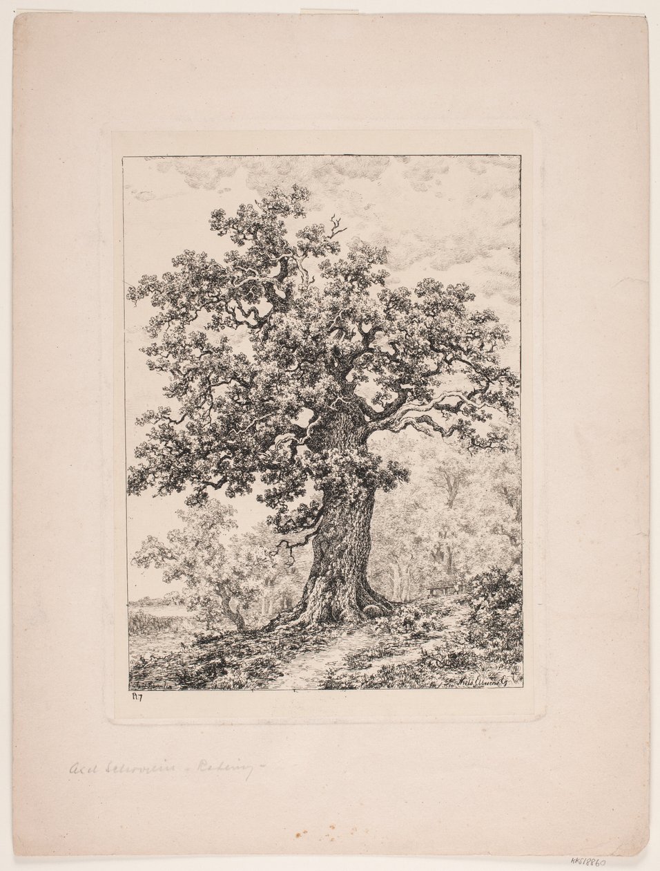 Niels Ebbesens örn. Gyllingnæs ormanı by Axel Schovelin