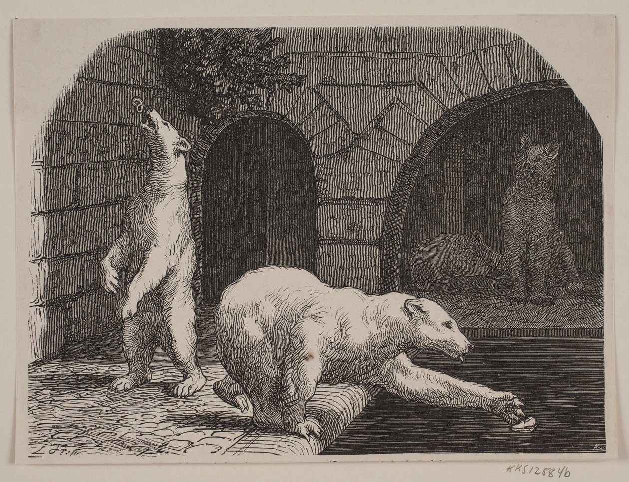 Bjørne ve Botanik Bahçesi by Axel Theodor Kittendorff