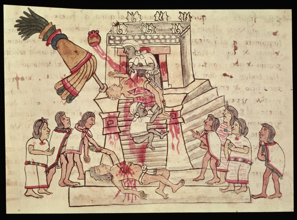 B.R. 232 fol.70r Codex Magliabechiano