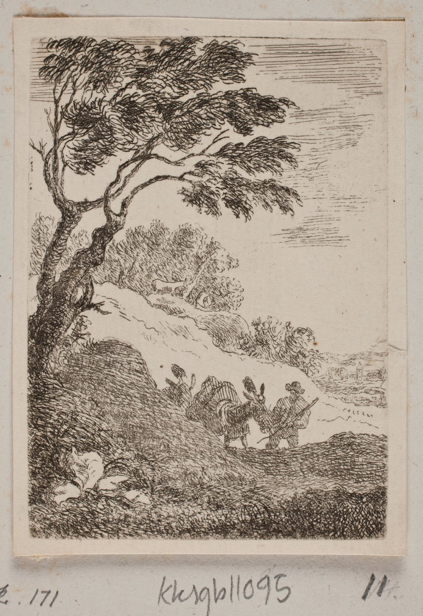 Bir dağ silsilesi by B. Flügge