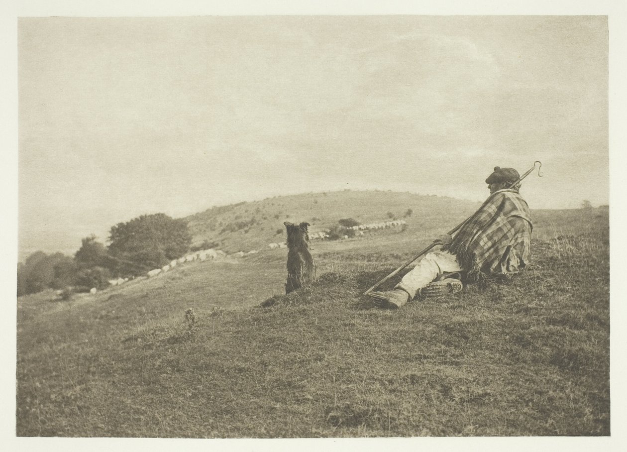 pastoral by B. Gay Wilkinson