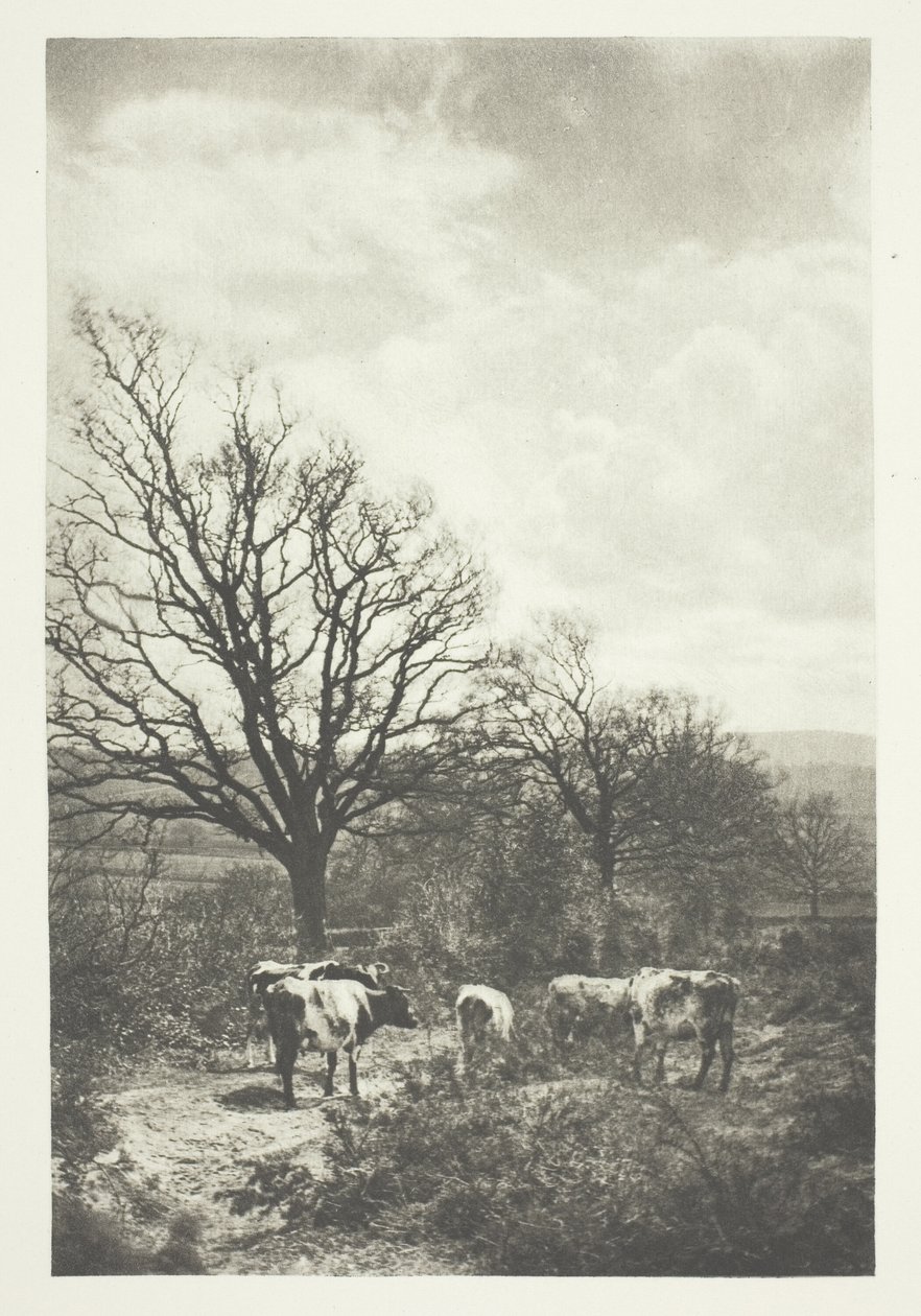 Rüzgarlı Bir Köşe by B. Gay Wilkinson