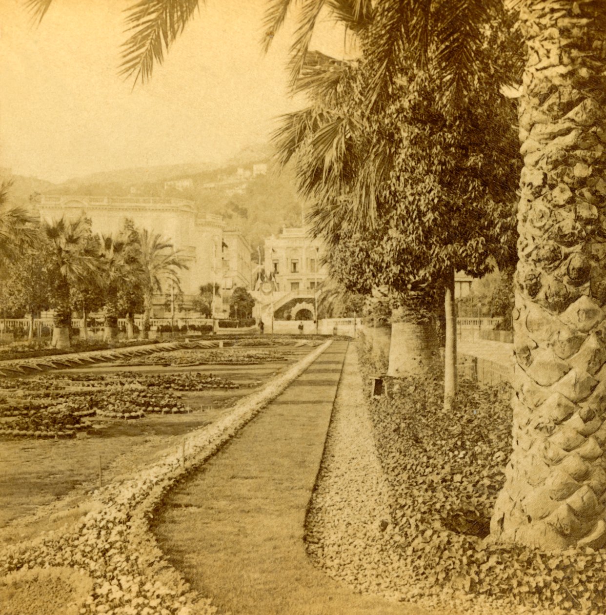 Monte Carlo, kumarhaneden bakıyor, 1897. by B. W. Kilburn