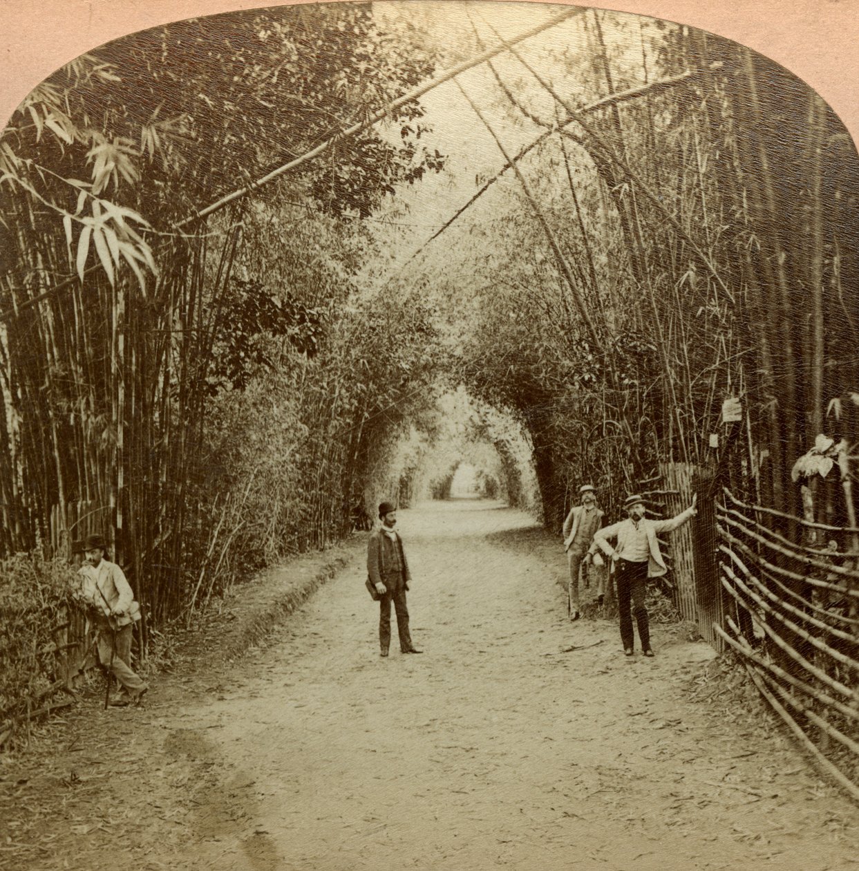 Mardyke, Cork, İrlanda. by B. W. Kilburn