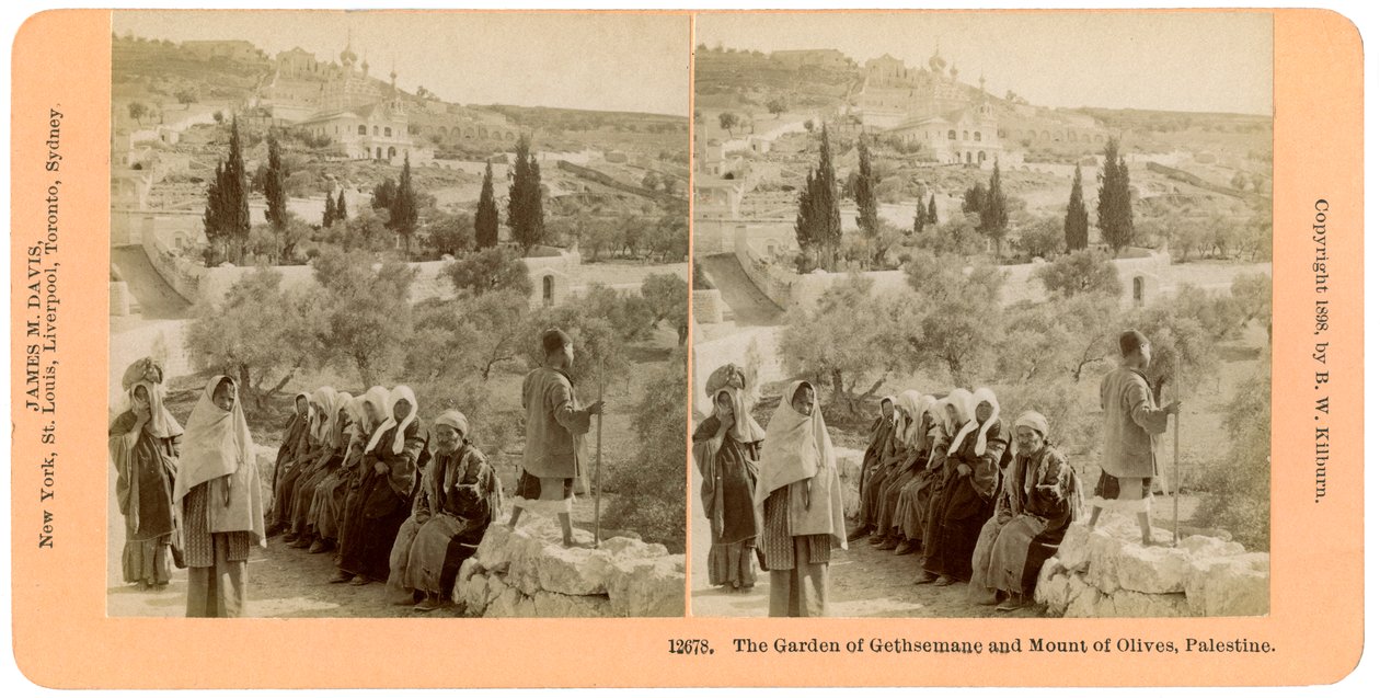 Getsemani bahçesi ve Zeytin Dağı, Filistin, 1898. by B. W. Kilburn