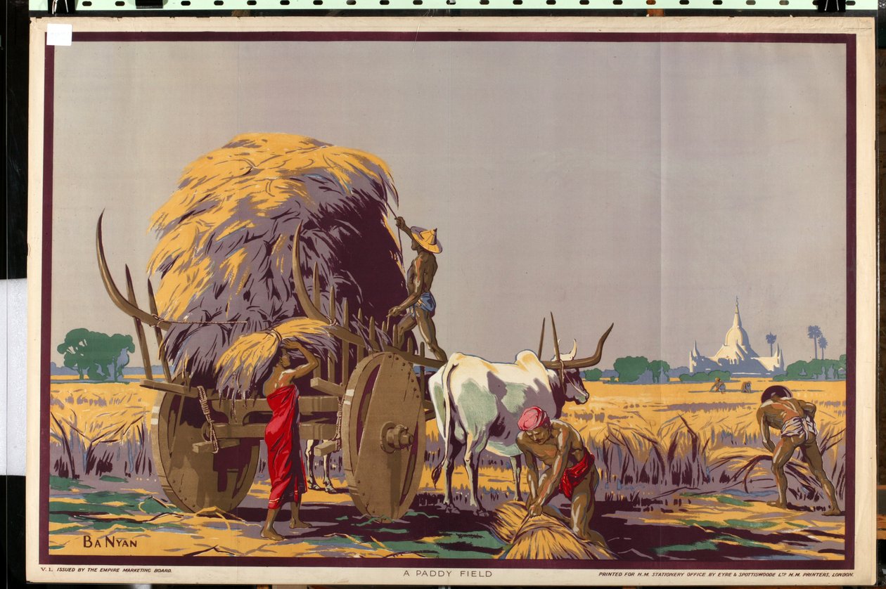 'Burma: A Land of Rich Resources' serisinden bir Çeltik Tarlası (renkli litho) by Ba Nyan