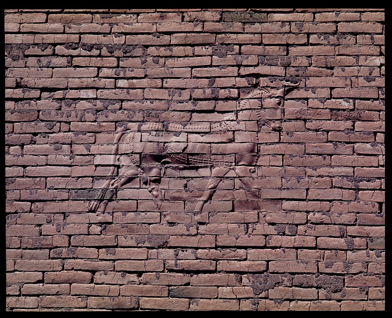 Bir boğa detayı, İştar kapısının kabartması, MÖ 580 by Babylonian