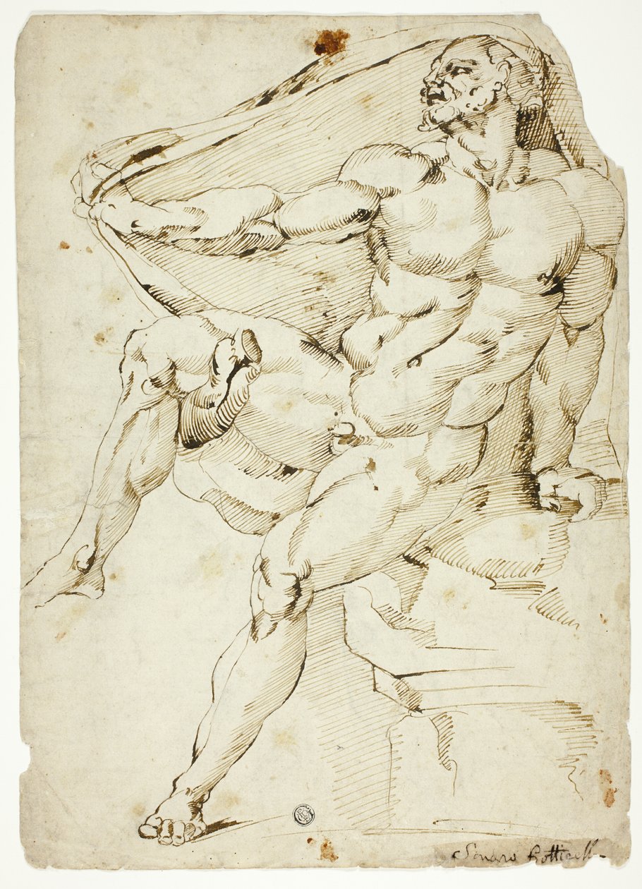  by Baccio Bandinelli