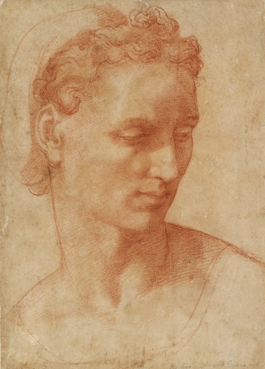 Bir Kadının Başı, 16. yüzyılın başlarında by Baccio Bandinelli
