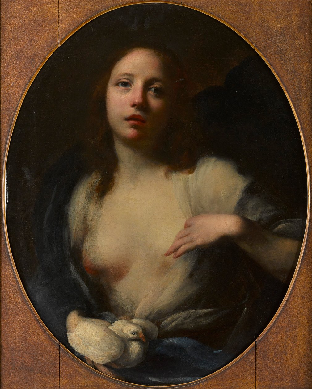 Beyaz güvercinli genç bir kız resmi (tuval üzerine yağlı boya) by Baldassare (1611 89) Franceschini