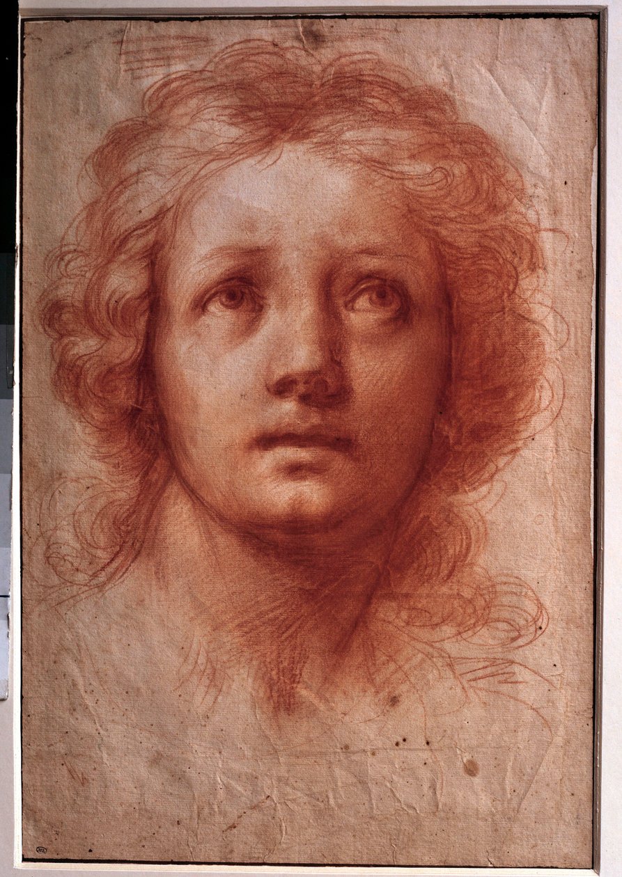 Bir kadının kafasının incelenmesi, sabit bakış yukarı doğru dönüyor Franceschini Baldassare dit il Volterrano (1611-1689) tarafından mürekkep ve yıkamayla çizim. 17. yüzyıl. karartmak 0,42x0,28m. Paris, Louvre Müzesi by Baldassare  Franceschini