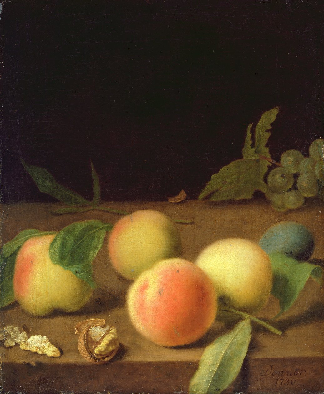 Meyve Natürmort, 1730 by Balthasar Denner