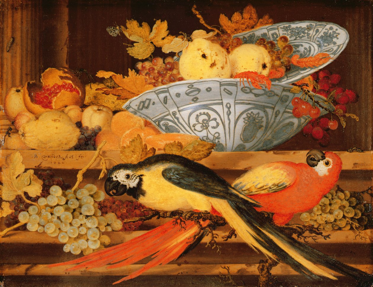 Meyve ve Amerika Papağanı ile Natürmort, 1622 (bakır üzerine yağlı boya) by Balthasar van der Ast
