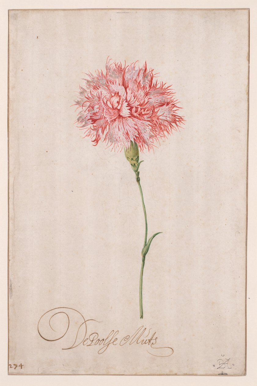 Polonyalı Şapka by Balthasar van der Ast