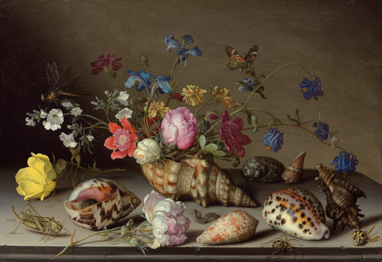Taş bir çıkıntıda çiçekler, kabuklar ve böcekler by Balthasar van der Ast