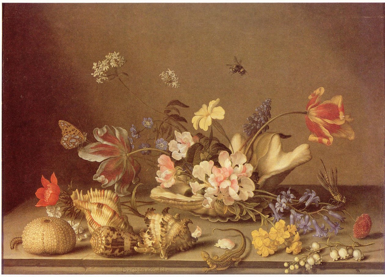  by Balthasar van der Ast
