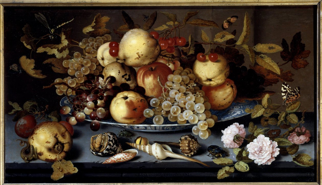 Meyvelerin, çiçeklerin, kabukların ve böceklerin natürmort. Balthasar Van Der Ast (1590-1656) Ec. Hol by Balthasar van der Ast