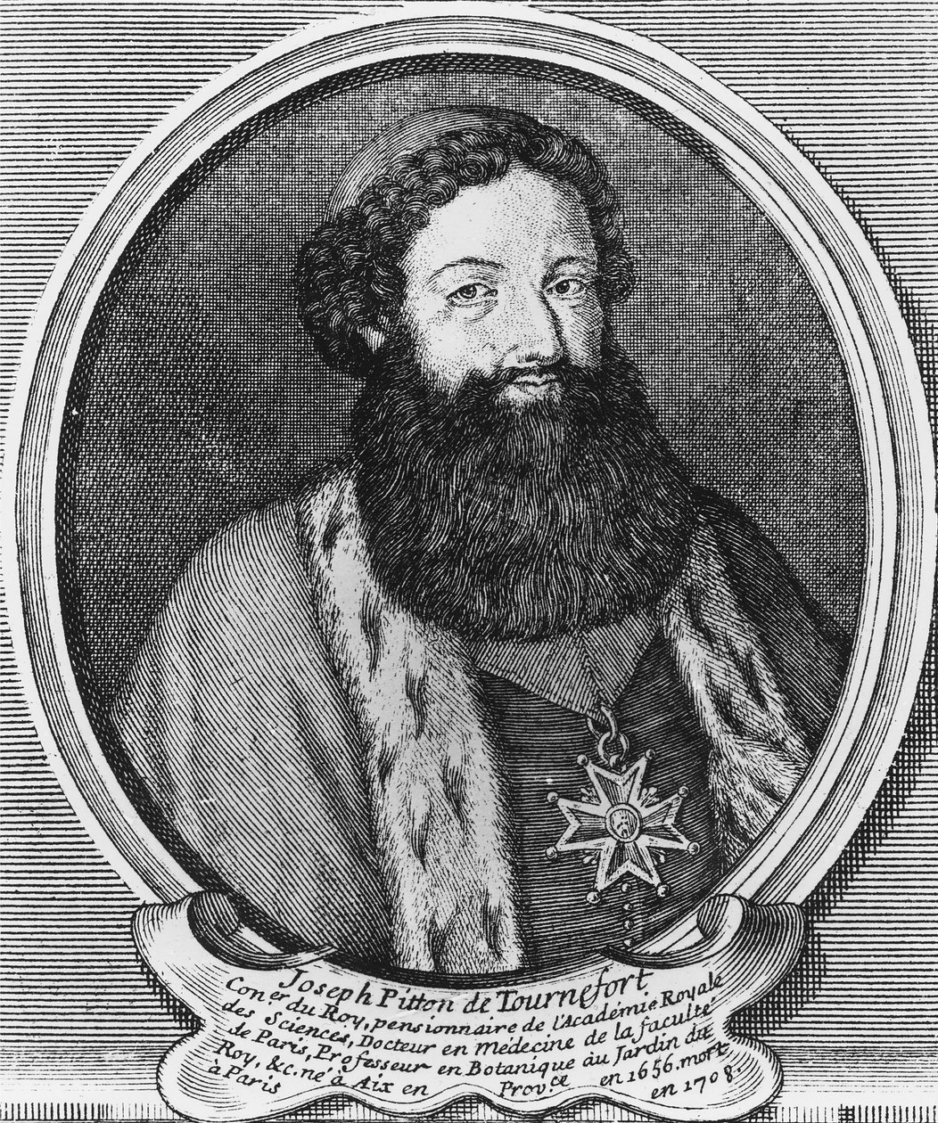 Joseph Pitton de Tournefort gravürü by Baptistin Martin