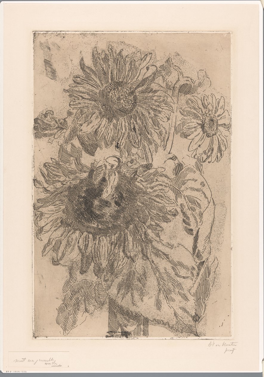 Vazoda üç ayçiçeği by Barbara Elisabeth van Houten (signed by artist)