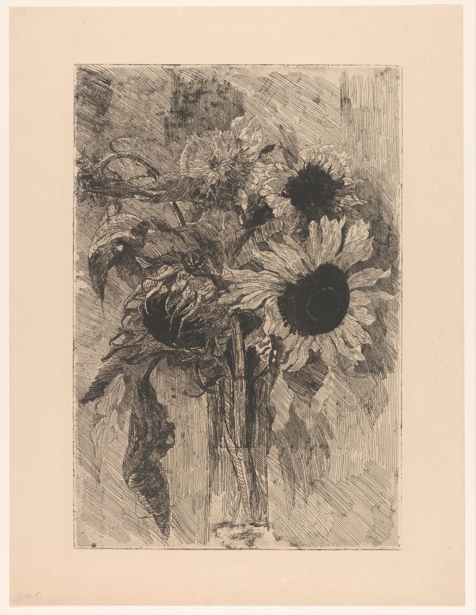 Vazoda ayçiçeği by Barbara Elisabeth van Houten (signed by artist)