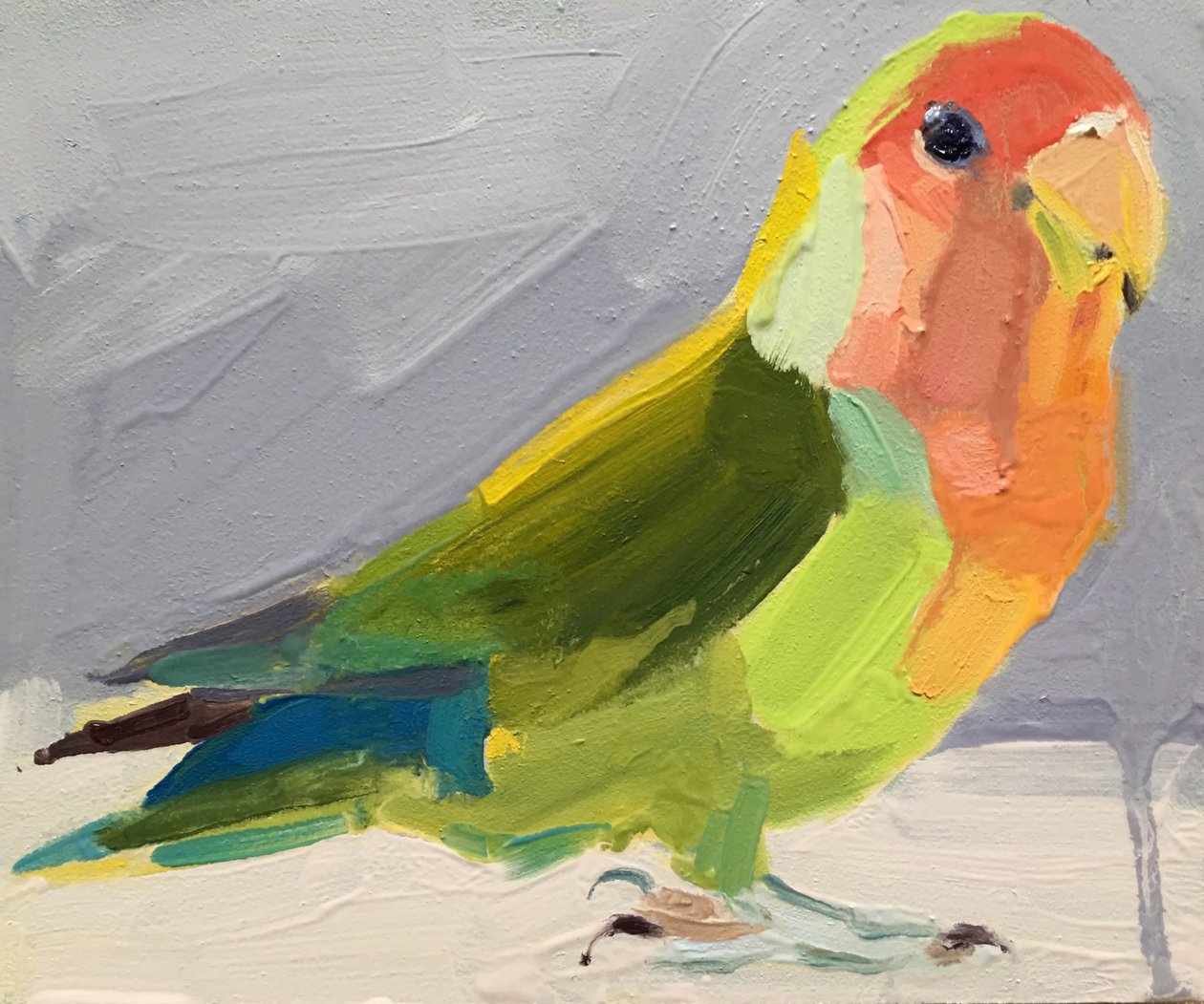 muhabbet kuşları, 2017 by Barbara Hoogeweegen