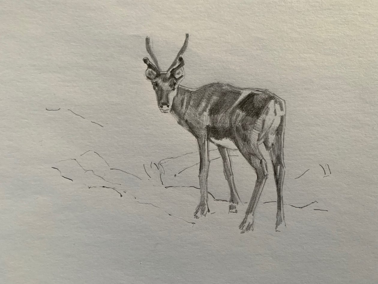 Ren geyiği, 2019 by Barbara Hoogeweegen