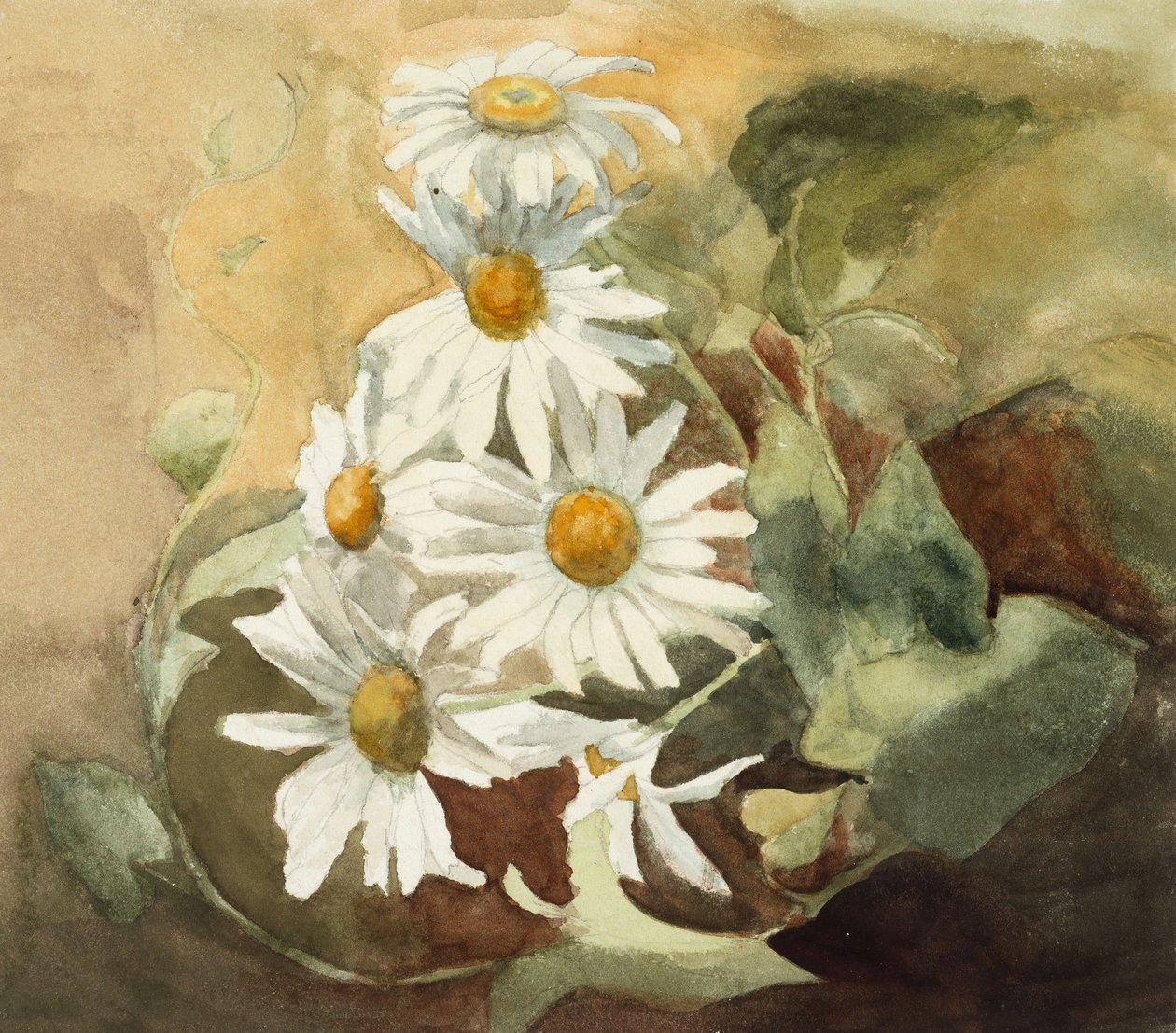 Papatyalar (dokuma kağıt üzerine sulu boya) by Barbara Leigh Smith Bodichon
