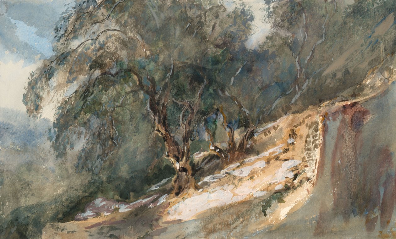 Peyzaj: Boğumlu gövdeli ağaçlar (dokuma kağıt üzerine suluboya ve grafit) by Barbara Leigh Smith Bodichon