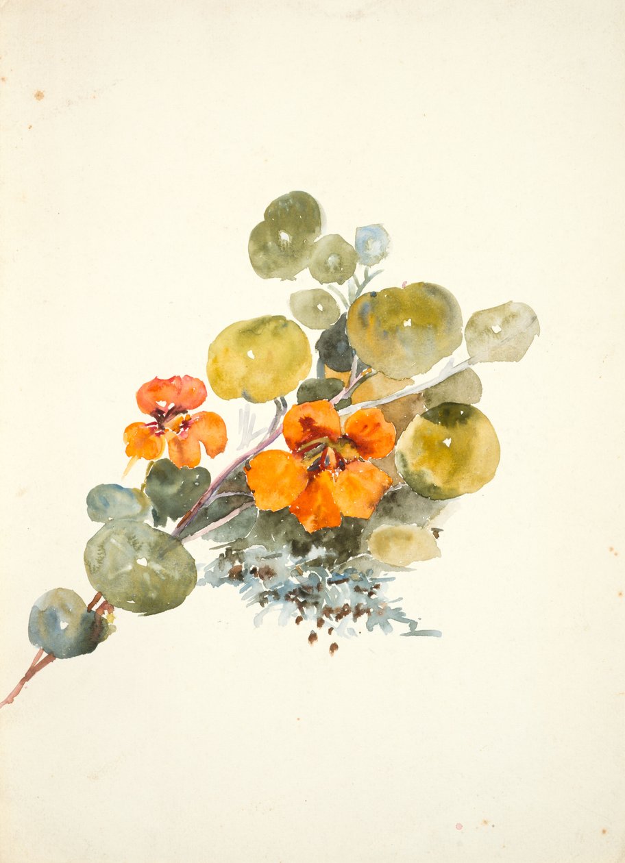 Nasturtiums (dokuma kağıt üzerine sulu boya) by Barbara Leigh Smith Bodichon