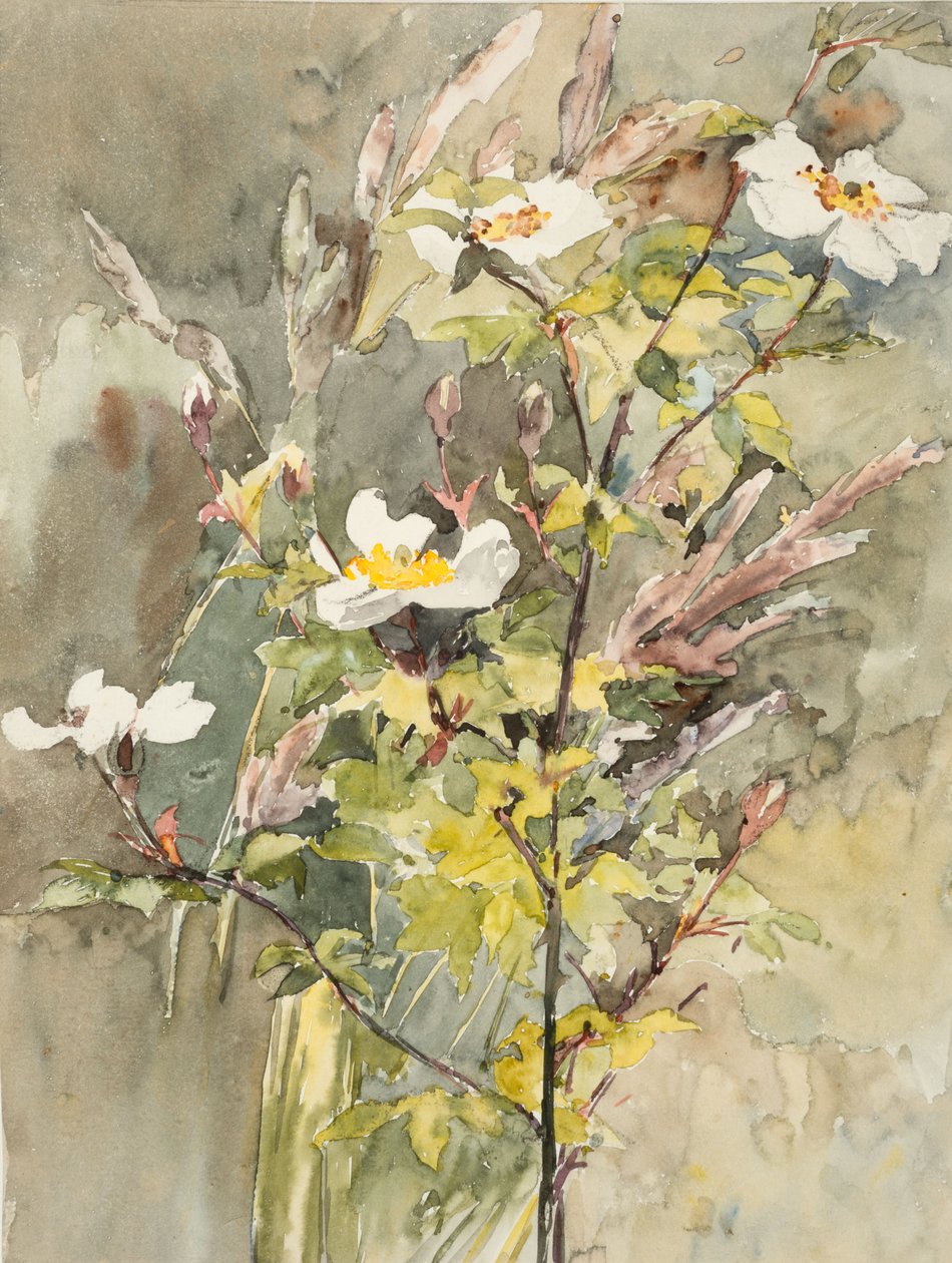 Kır çiçekleri (dokuma kağıt üzerine suluboya ve grafit) by Barbara Leigh Smith Bodichon