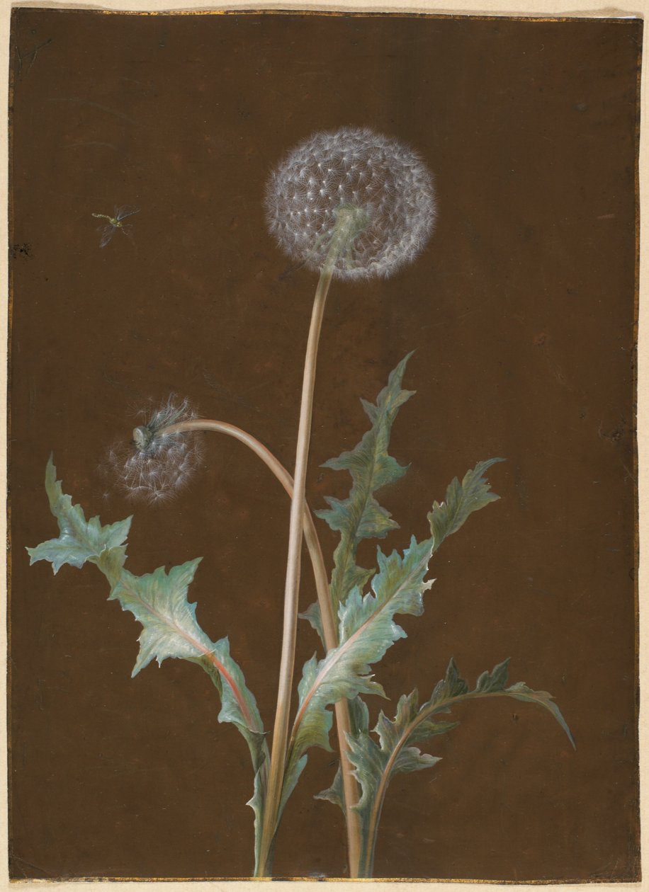  by Barbara Regina Dietzsch