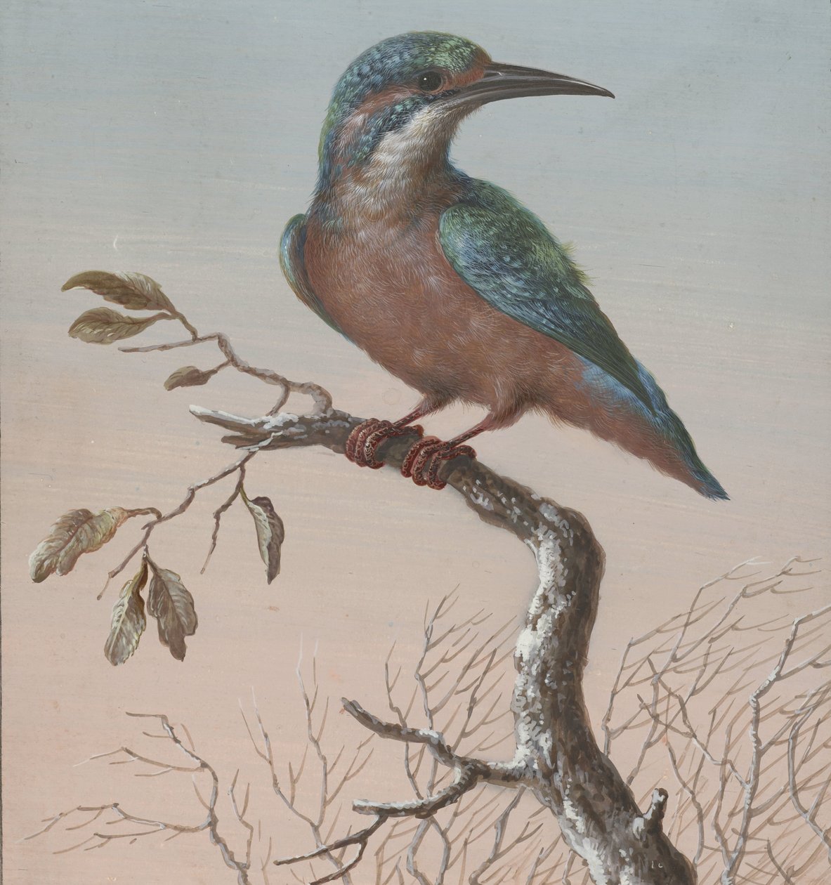 Kingfisher Dört kuş guajı (seri başlığı) by Barbara Regina Dietzsch