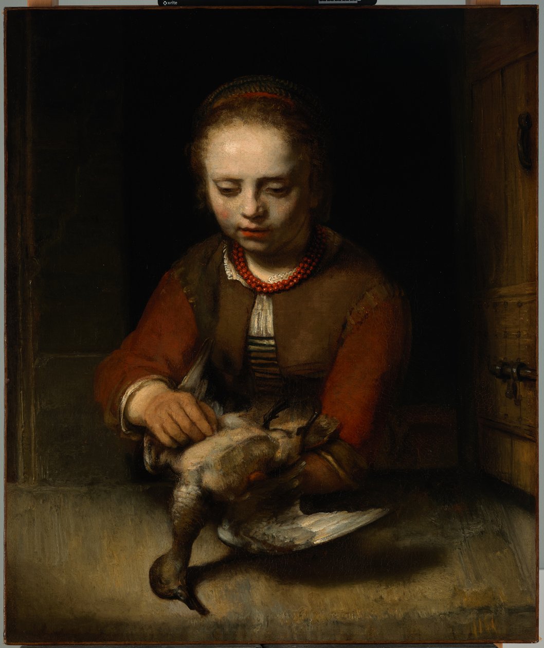 Ördek Yolan Genç Kız, 1650 dolayları (tuval üzerine yağlı boya) by Barent Fabritius