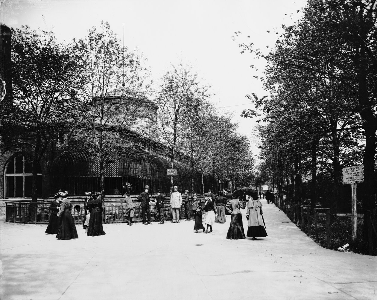 Lincoln Park Hayvanat Bahçesi., Chicago, Illinois, ABD, c.1900 (s/b fotoğraf) by Barnes and Crosby