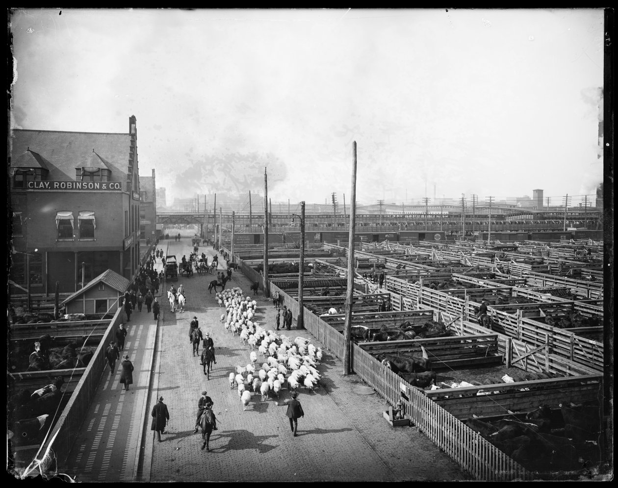 Union Stock Yards., Chicago, Illinois, ABD, c.1910 (s/b fotoğraf) by Barnes and Crosby